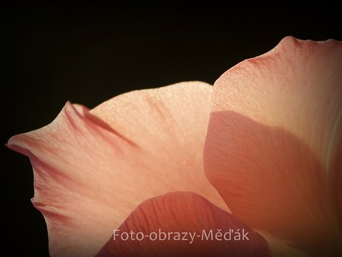 Už je mi lépe... — foto 1