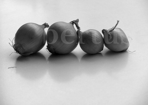 4 cibule — foto 1