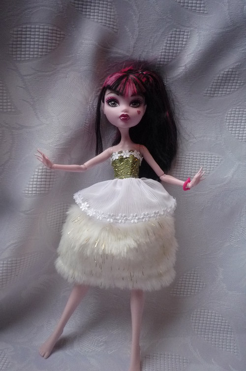 Narozeninový dárek pro Monster High — foto 1