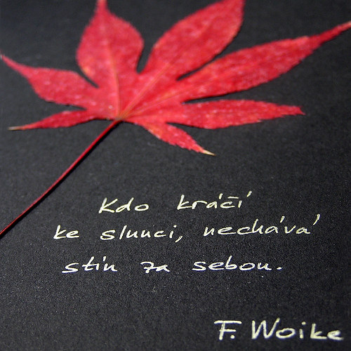 Kdo kráčí ke slunci — foto 1
