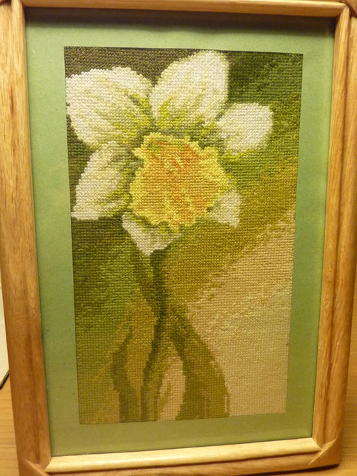Narcis — foto 1