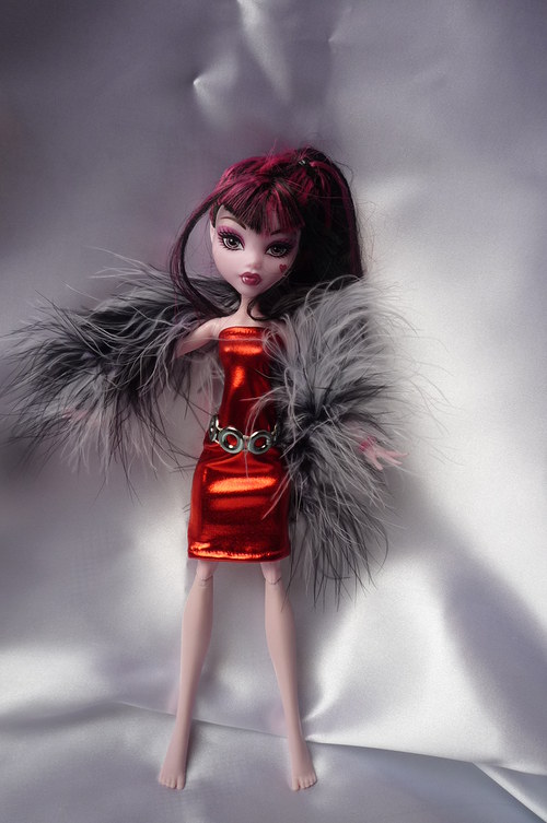 Na párty pro Monster High — foto 1