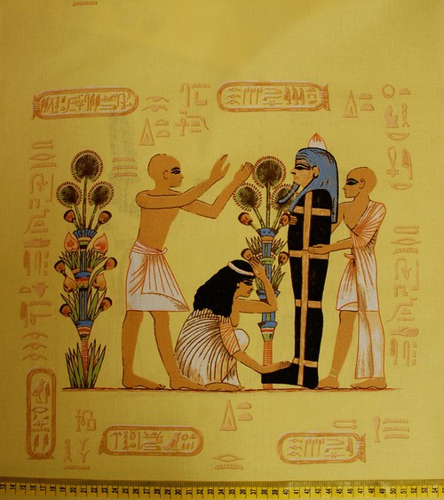 Žlutý egypťan — foto 1