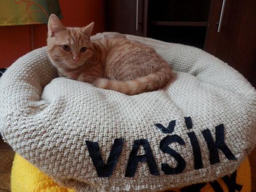 Pelíšky Vašík a Čertík — foto 1