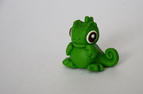 Chameleonek na přání — foto 1