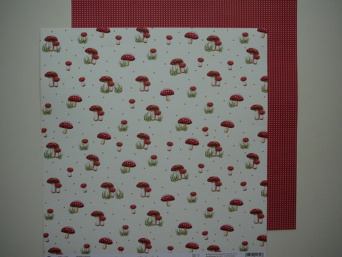 Oboustranná čtvrtka 30,5x30,5 cm — foto 1