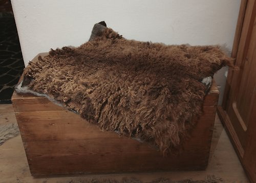 Houně — foto 1