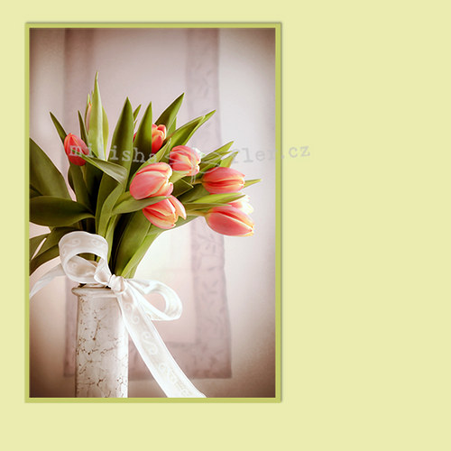 Tulipánííí blahopřání - i elektronicky — foto 1