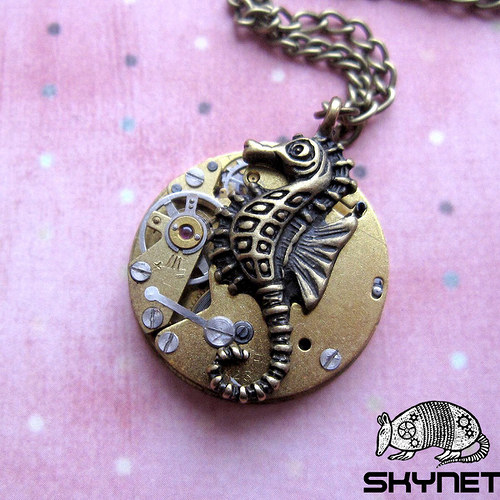 Mořský koník — foto 1
