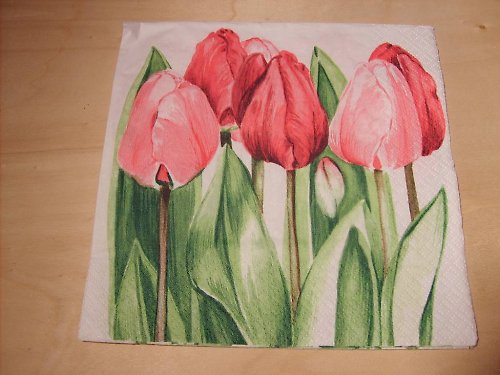 Ubrousek - tulipány 3 — foto 1