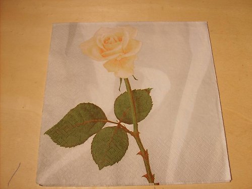 Ubrousek - růže 1 — foto 1