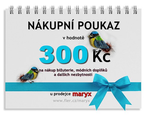 Dárkový poukaz 300 Kč — foto 1