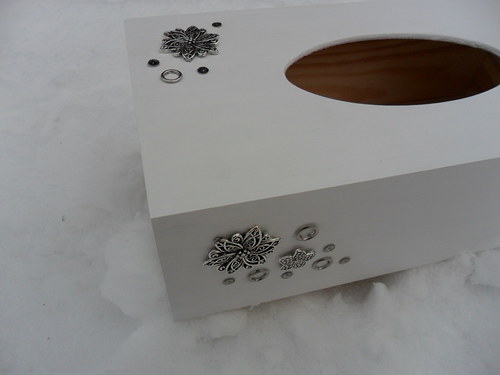 Stříbřitě květinová — foto 1