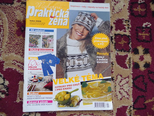 Praktická žena — foto 1