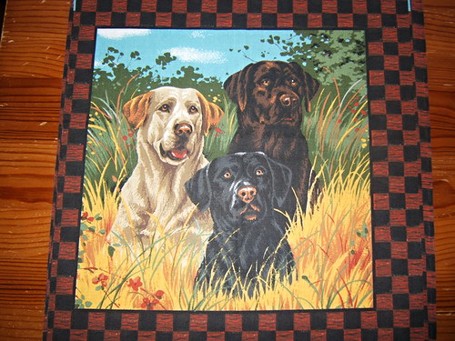 Panel - labrador — foto 1