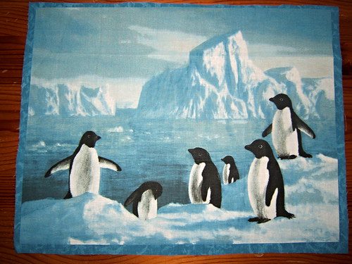 Panel - tučňáci — foto 1