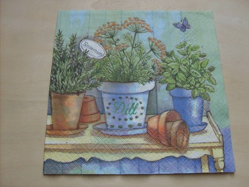 Ubrousek - bylinky 2 — foto 1