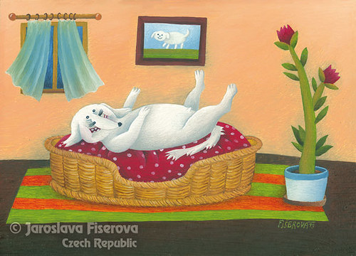 Psí život — foto 1