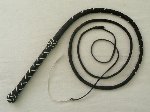 Honácký bič , bullwhip — foto 1