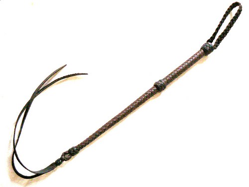 Jezdecký bičík