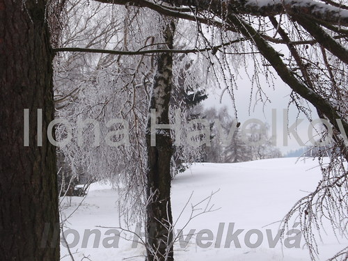Modřínové Okno — foto 1