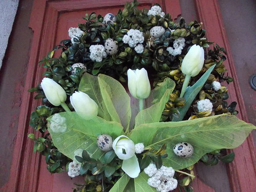 Tulipánovník — foto 1