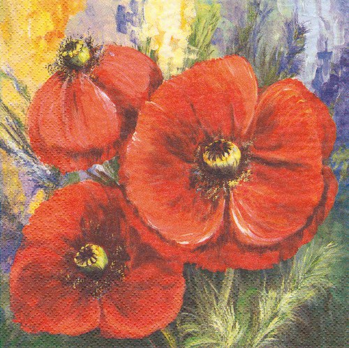 Ubrousek - vlčí máky