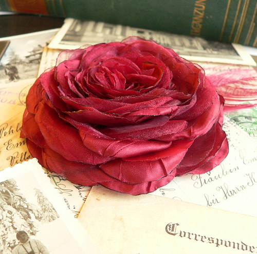 Where the wild roses grow — foto 1