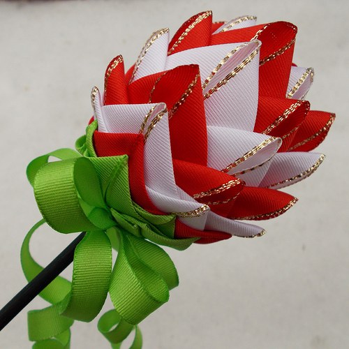 Červenobílý tulipán — foto 1