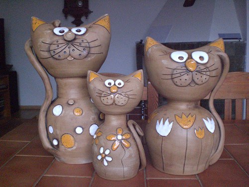 Kočičí rodinka — foto 1