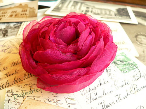 Where the wild roses grow — foto 1