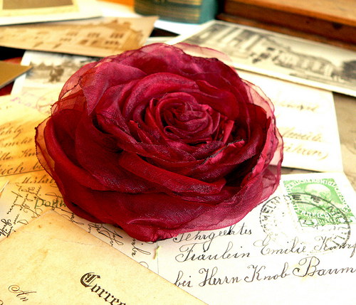 Where the wild roses grow — foto 1