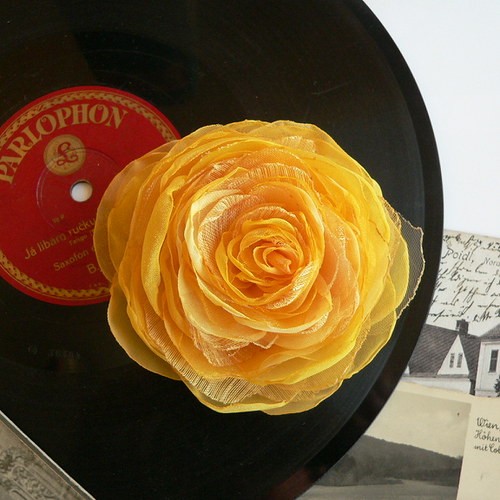 Where the wild roses grow — foto 1