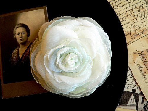Where the wild roses grow — foto 1