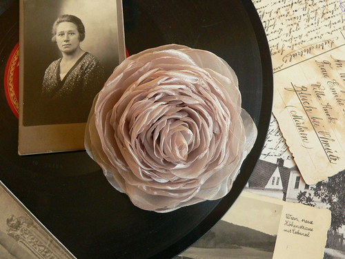 Where the wild roses grow — foto 1