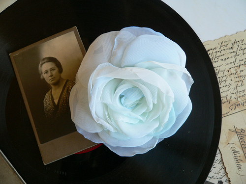 Where the wild roses grow — foto 1