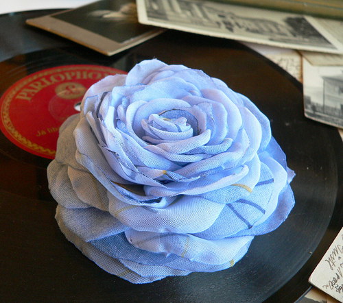 Where the wild roses grow — foto 1