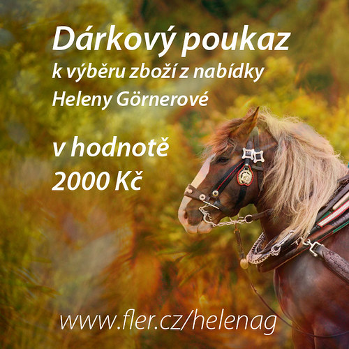 Nákupní poukaz 2000 Kč u prodejce HelenaG