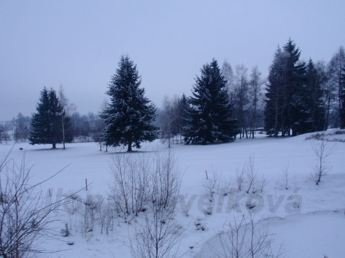 Důstojné Smrky — foto 1