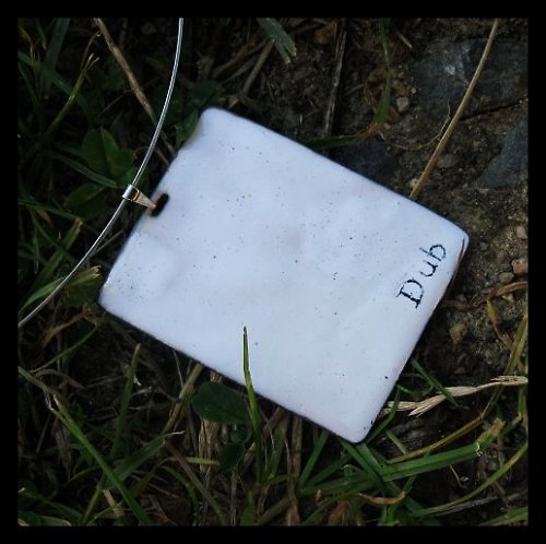 Dub — foto 1