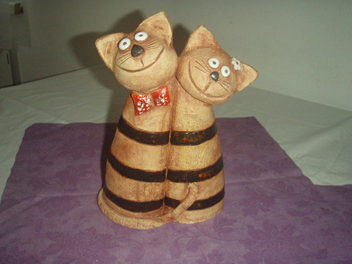 Kočičí duo — foto 1