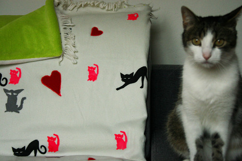 Cat valentine blanket — foto 1