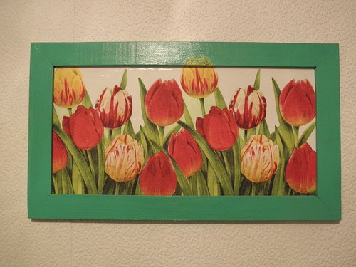 Tulipány — foto 1