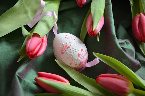 Kraslice tulipánková — foto 1