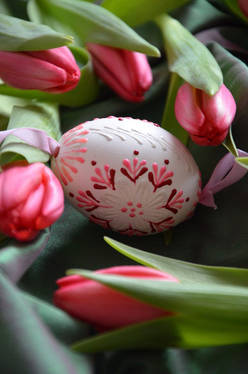 Kraslice tulipánková — foto 1