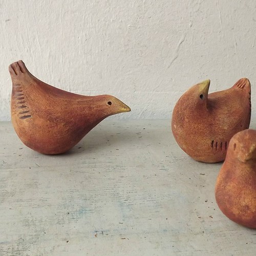 Ten zvědavý - hejno — foto 1