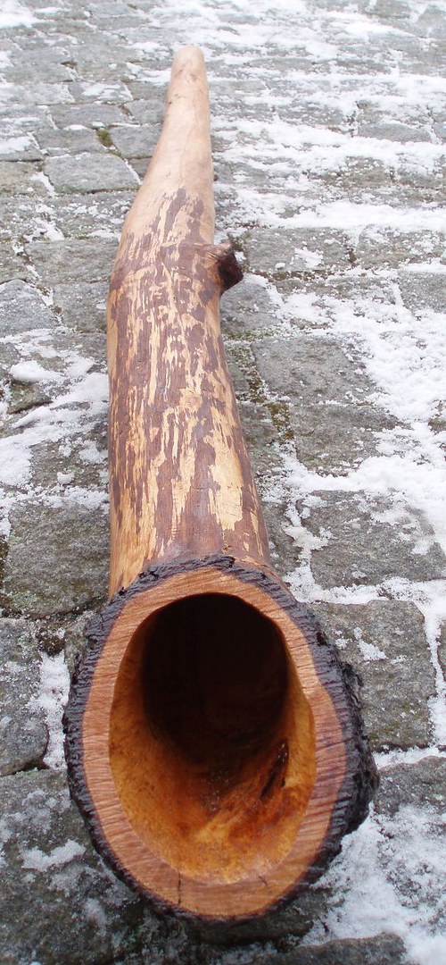 Didgeridoo - naběračka — foto 1