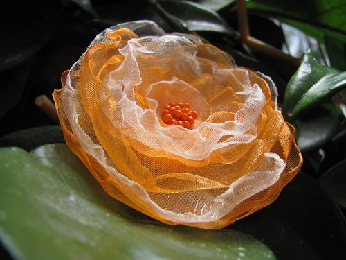 Oranžáda — foto 1