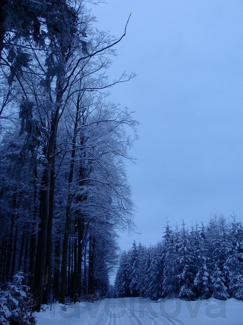 Pohled Nahoru