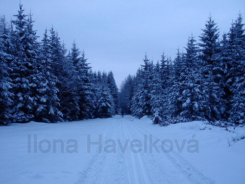 BĚŽKAŘ VE STOPĚ